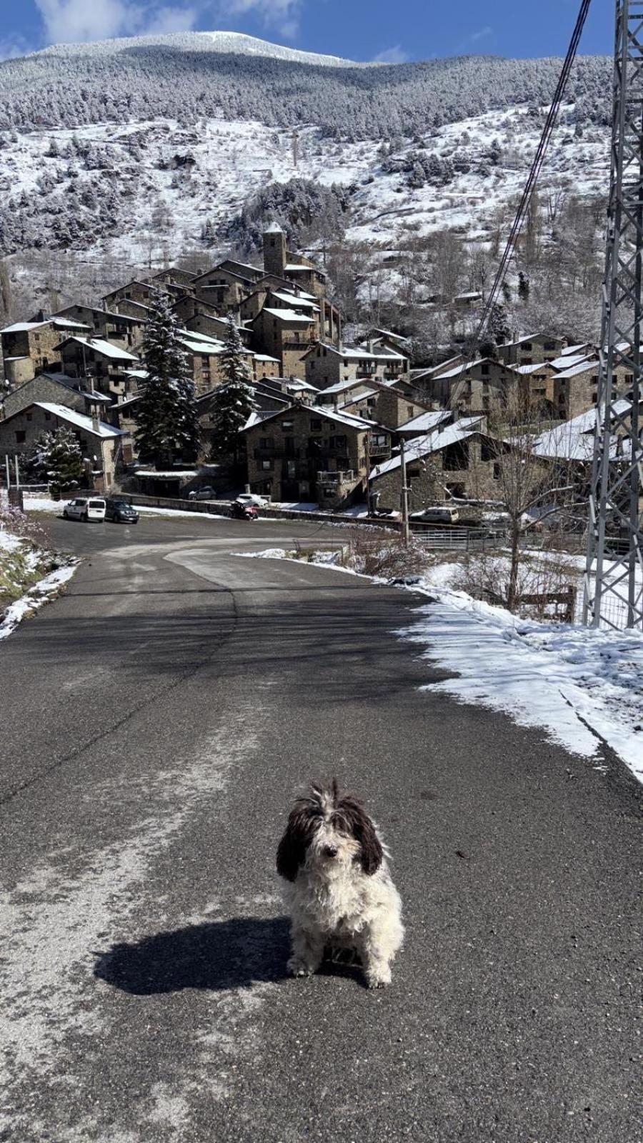 Hotel Valls Valira Os de Civís Kültér fotó